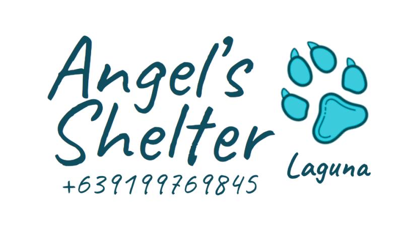 New Partner: Angel's Shelter