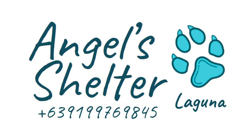 Angels Shelter