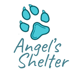Angel's Shelter